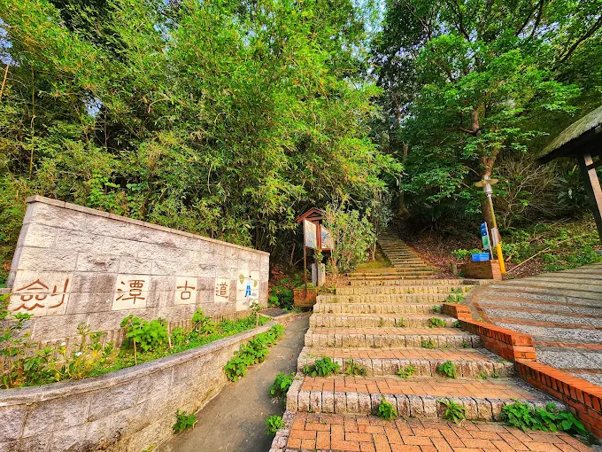 把一天交給苗栗古道慢慢走，從樹影到稜線之間剛好串起七條山林風景