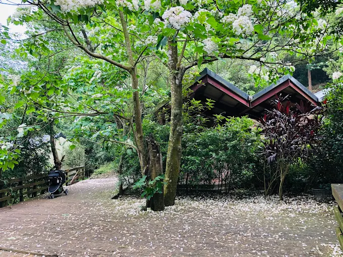把一天交給苗栗古道慢慢走，從樹影到稜線之間剛好串起七條山林風景