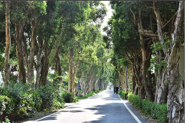 把腳步帶到桃園觀音景點的海邊，讓風從燈塔一路陪你走到沙丘盡頭