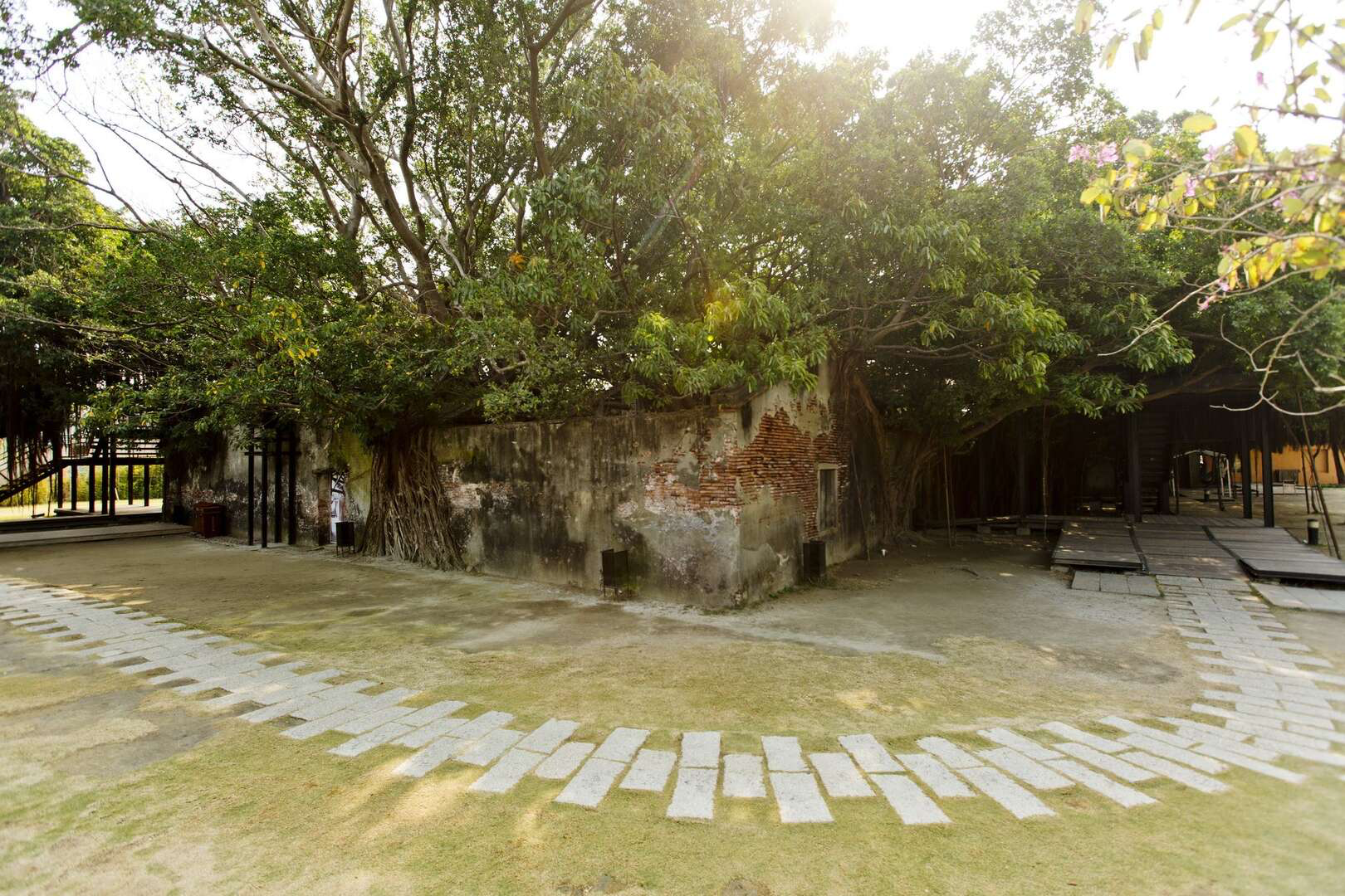在台南安平與時間交錯的樹屋之中,看見榕樹與記憶靜靜生長的溫柔風景