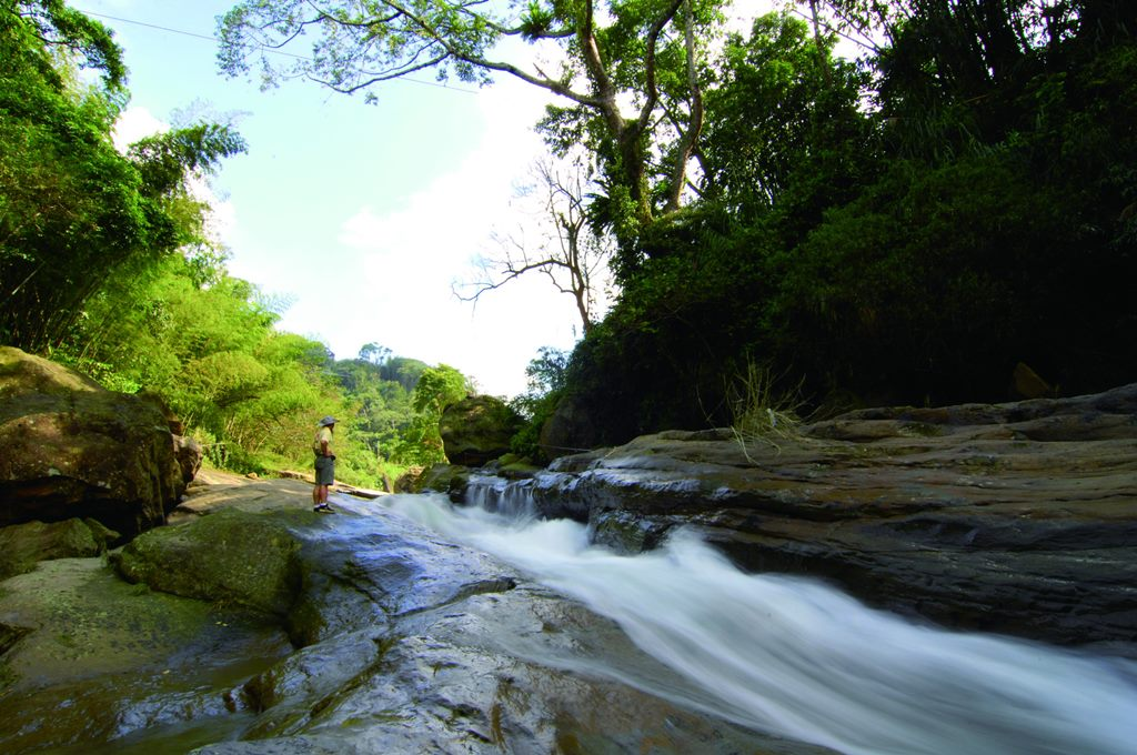 在雲林古坑順著山路一路往上走，剛好在雲嶺之丘遇見翻湧的雲海與風