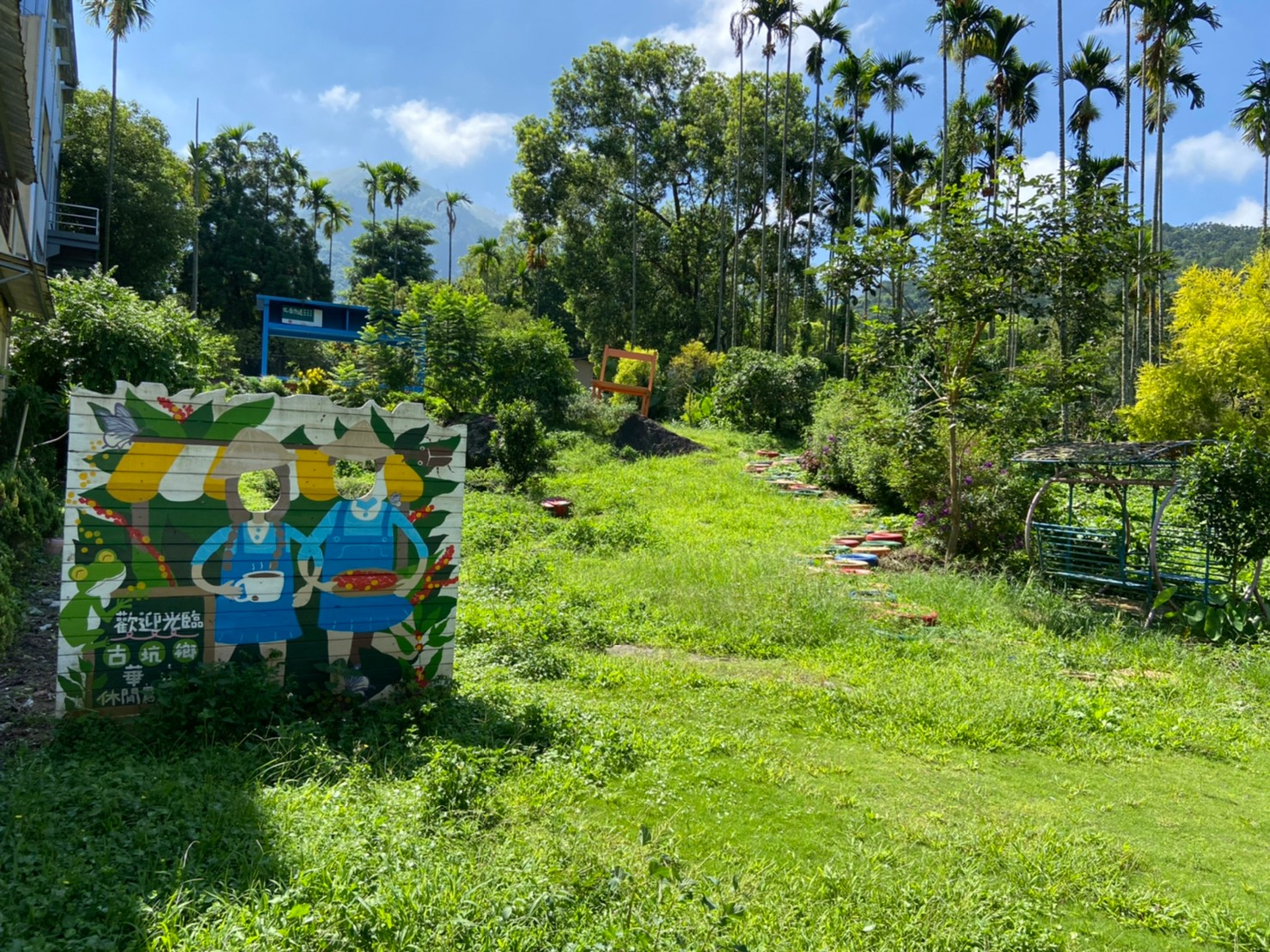 在雲林古坑順著山路一路往上走，剛好在雲嶺之丘遇見翻湧的雲海與風