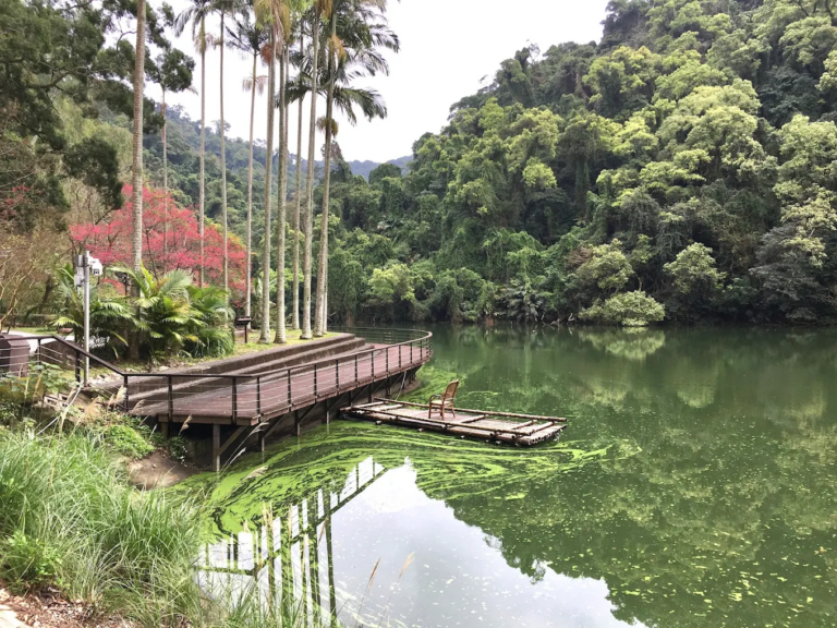 後慈湖不只是一座湖!走進桃園大溪塵封半世紀的山林秘境,森林步道、湖景與歷史場景一次看