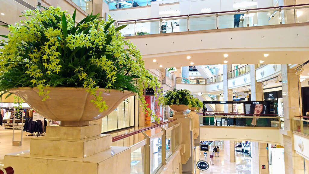 在台北 101 的高空俯瞰世界，讓煩惱變得渺小，讓視野延伸到更遠的地方