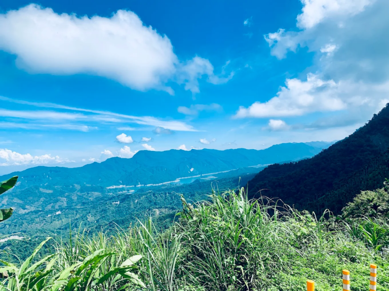 梅嶺風景區不只賞梅！走進台南楠西山裡，從步道山景到螢火蟲，把春季山林感一次收進行程