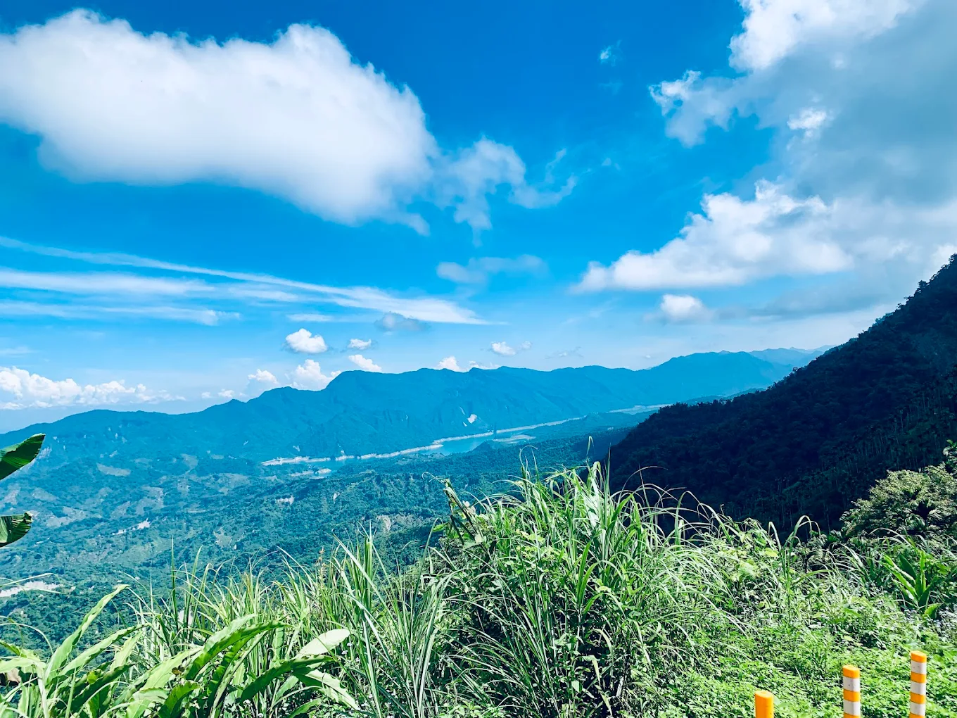梅嶺風景區不只賞梅！走進台南楠西山裡，從步道山景到螢火蟲，把春季山林感一次收進行程
