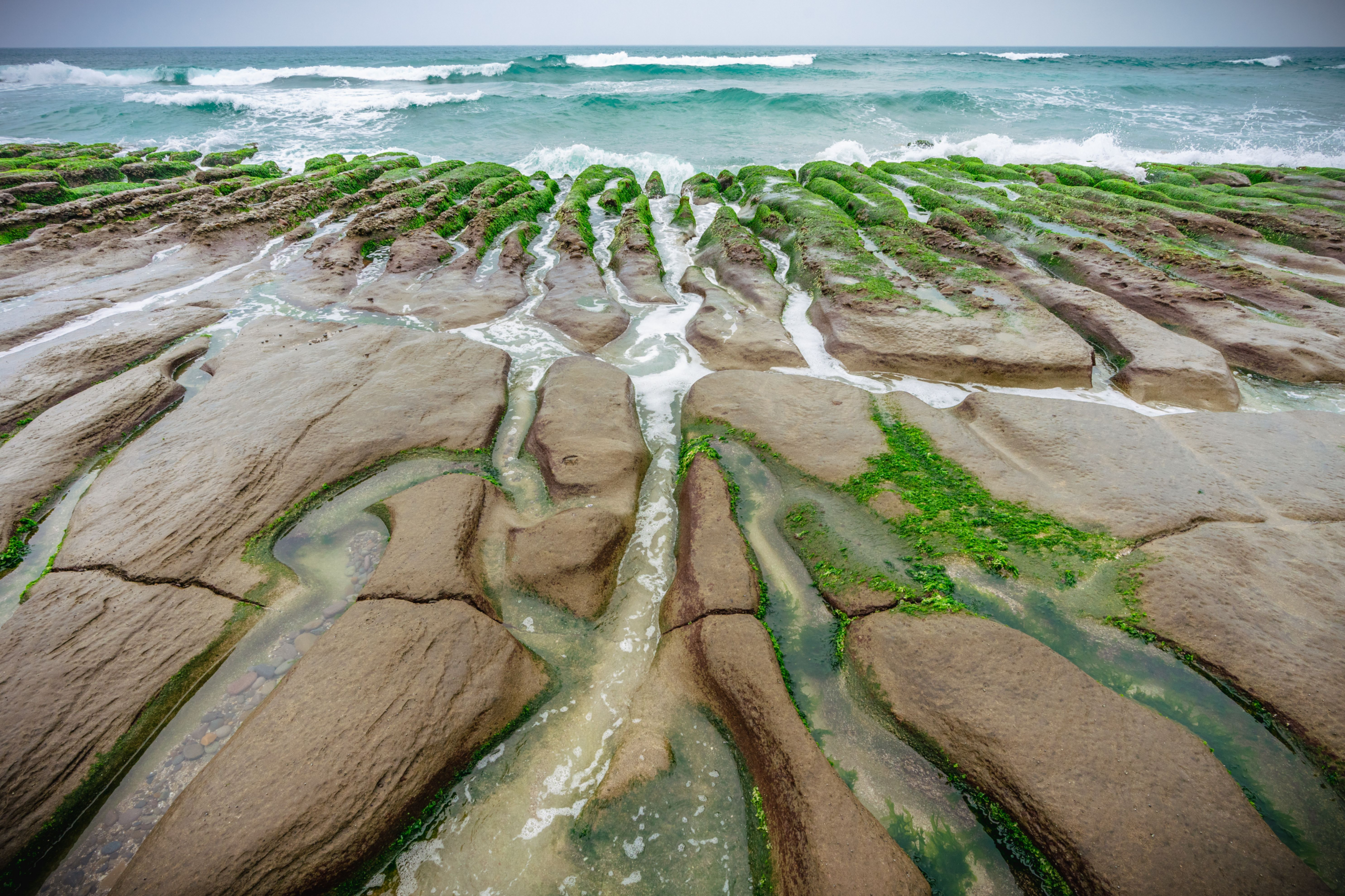 老梅石槽不是海邊散步而已，春天限定的抹茶海岸，才是北海岸每年最讓人想衝一趟的理由