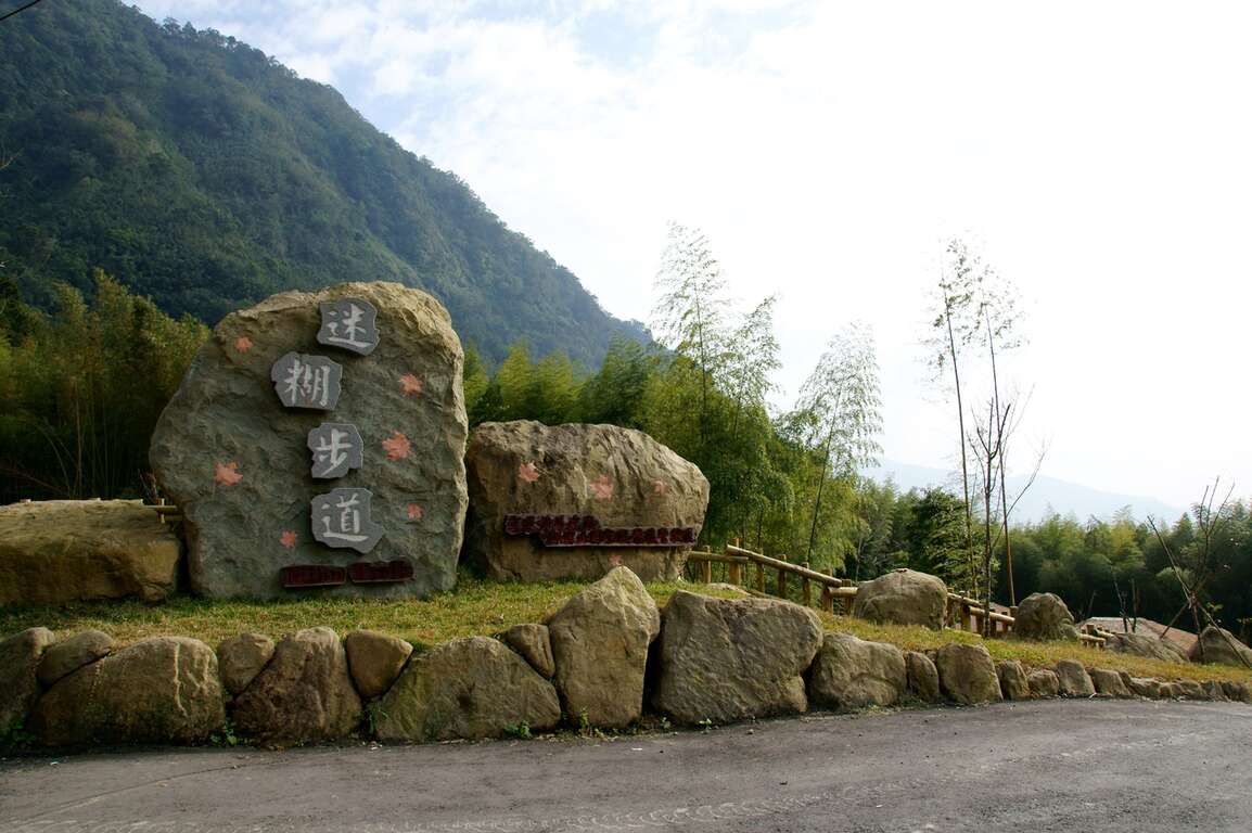 阿里山迷糊步道不是走錯路才叫迷糊，竹林、吊橋與溪谷一路相伴，才是它讓人一走就放鬆的理由