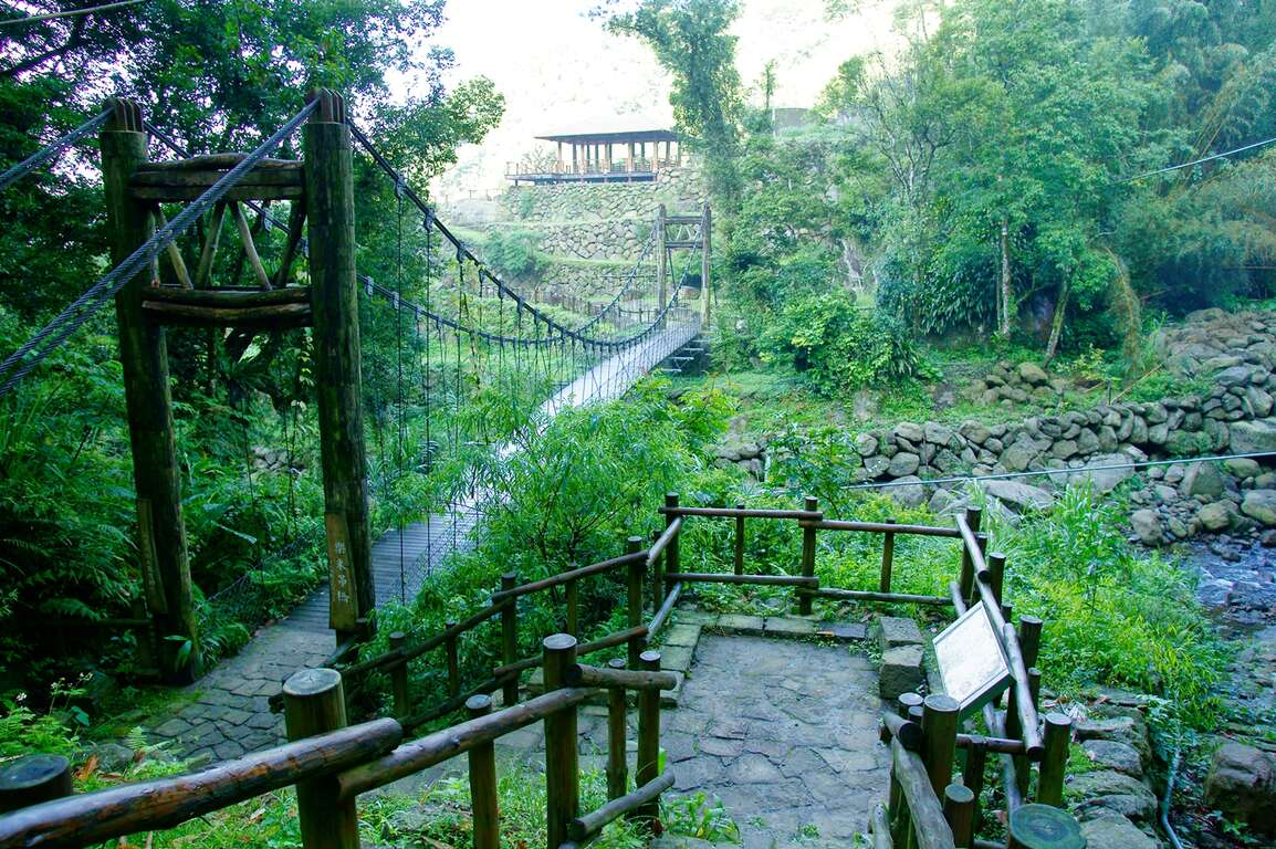 阿里山迷糊步道不是走錯路才叫迷糊，竹林、吊橋與溪谷一路相伴，才是它讓人一走就放鬆的理由