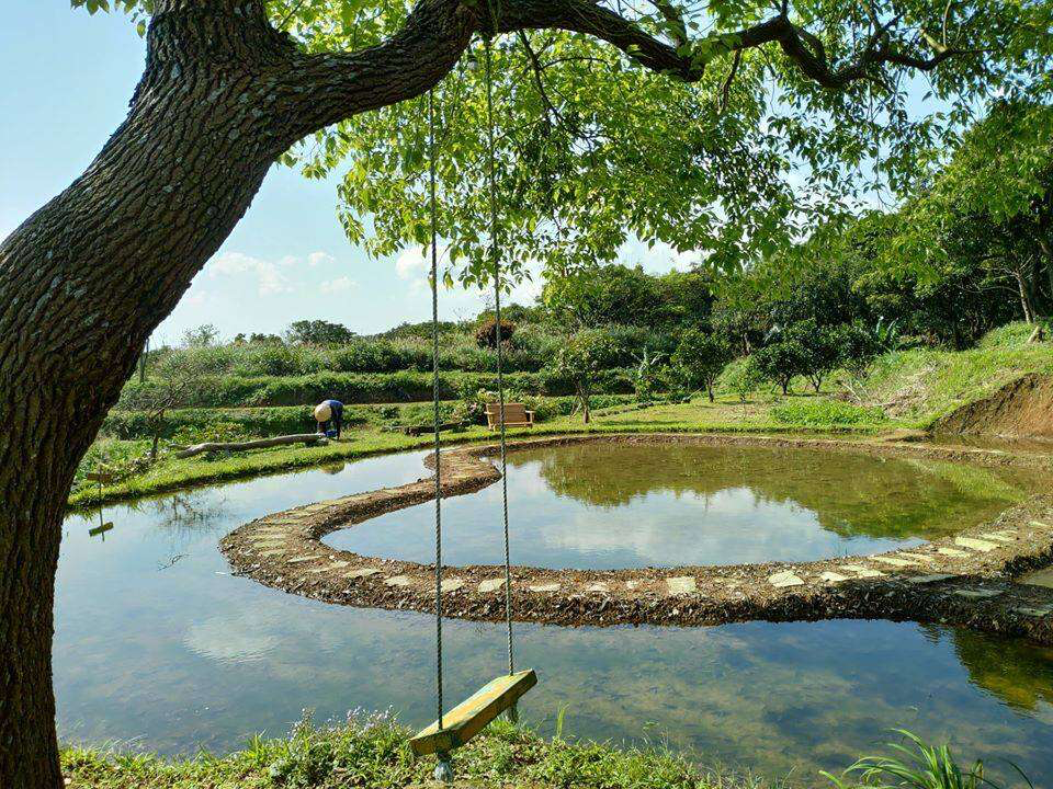 雞母嶺不只是水梯田！走進貢寮山裡的百年古樸山村，從淡蘭古道到山海視野一次收藏