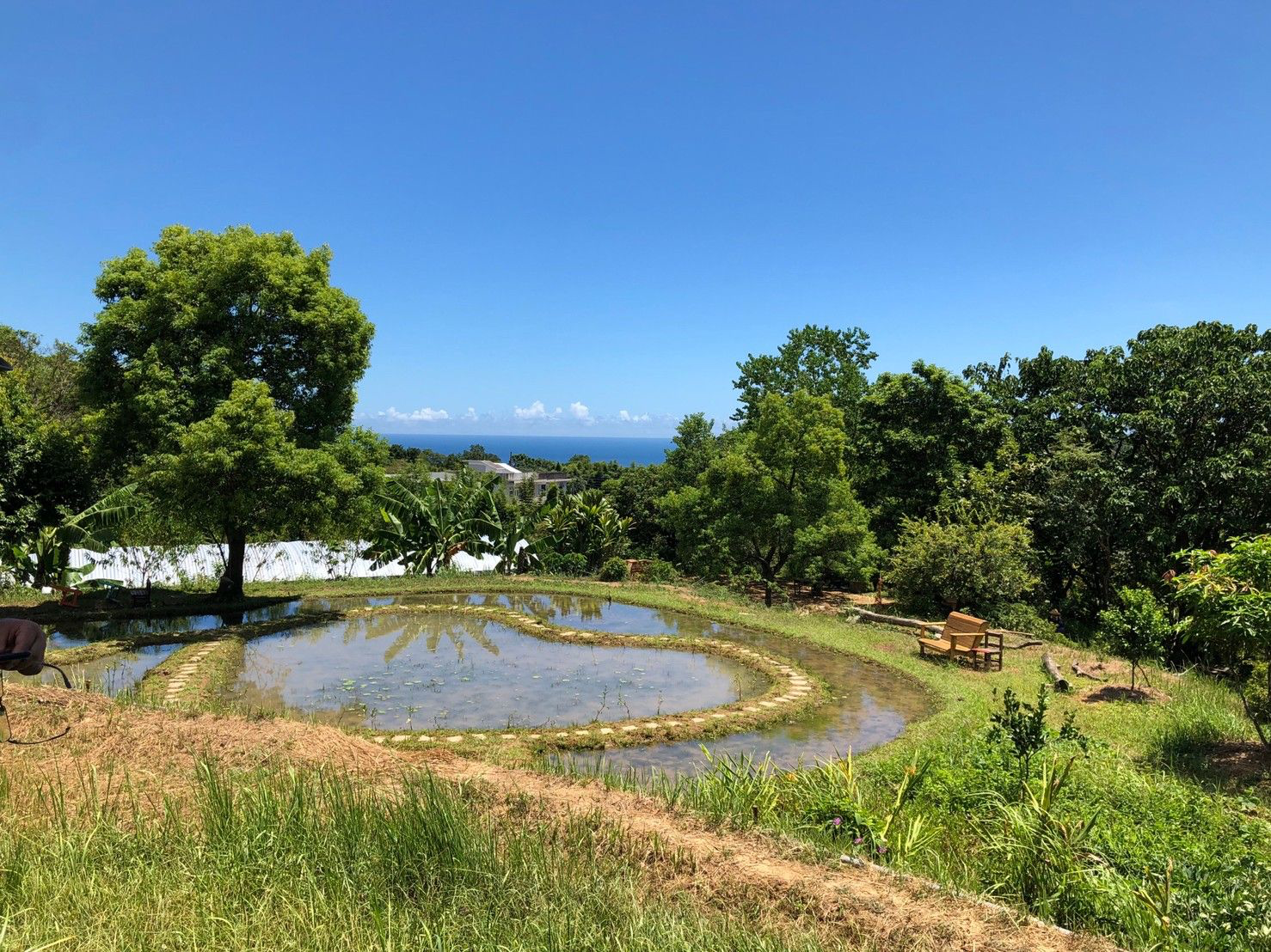 雞母嶺不只是水梯田！走進貢寮山裡的百年古樸山村，從淡蘭古道到山海視野一次收藏