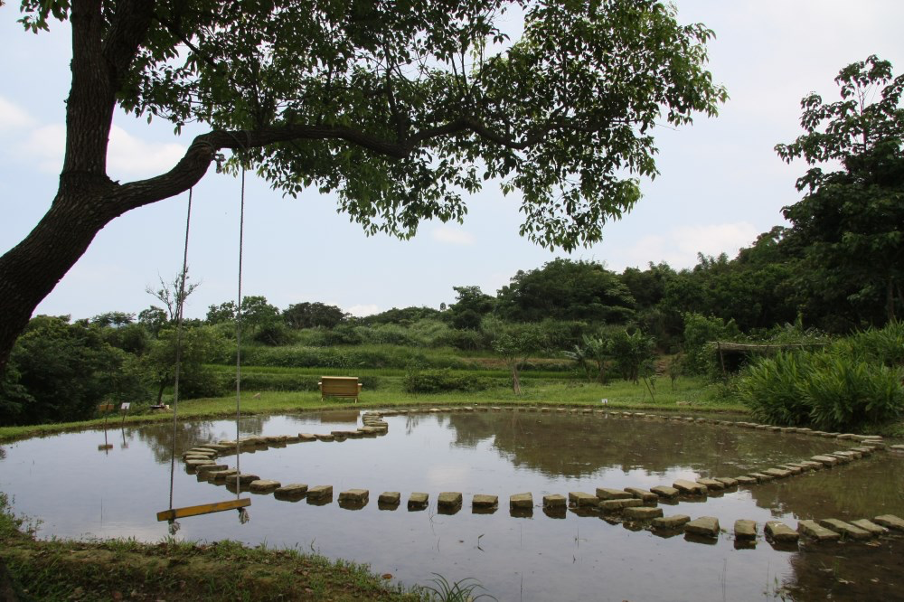 雞母嶺不只是水梯田！走進貢寮山裡的百年古樸山村，從淡蘭古道到山海視野一次收藏