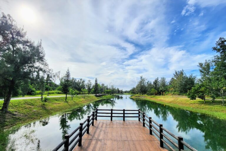 2026台東慢活指南：縱谷稻浪、海岸曙光與森林秘境絕景一次掌握