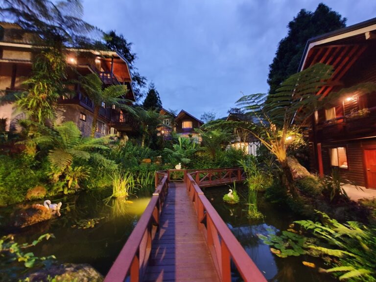 2026南投森林度假夯點！溪頭新明山木屋一泊三食2380元 雙人價爽住四人房