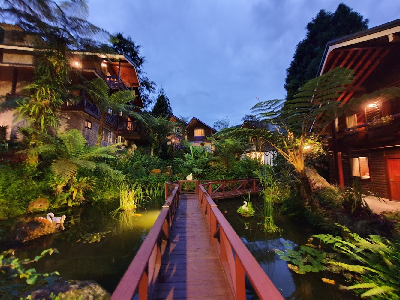 2026南投森林度假夯點！溪頭新明山木屋一泊三食2380元 雙人價爽住四人房