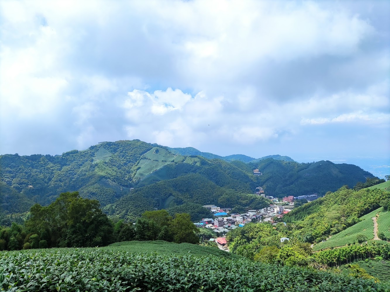 梨子腳山｜梨子腳山登山指南：嘉義梅山絕美茶園步道，新手也能輕鬆駕馭的秘境