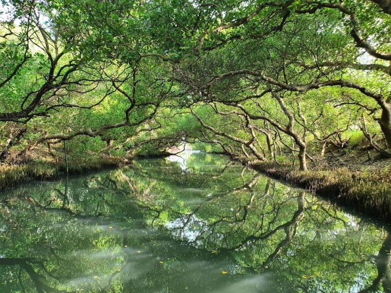 台南慢遊指南:從綠色隧道到漁光島夕陽,尋找府城最迷人的五個寧靜角落