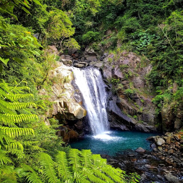 內洞國家森林遊樂區慢遊攻略：觀瀑步道、交通與一日行程建議（2026更新）