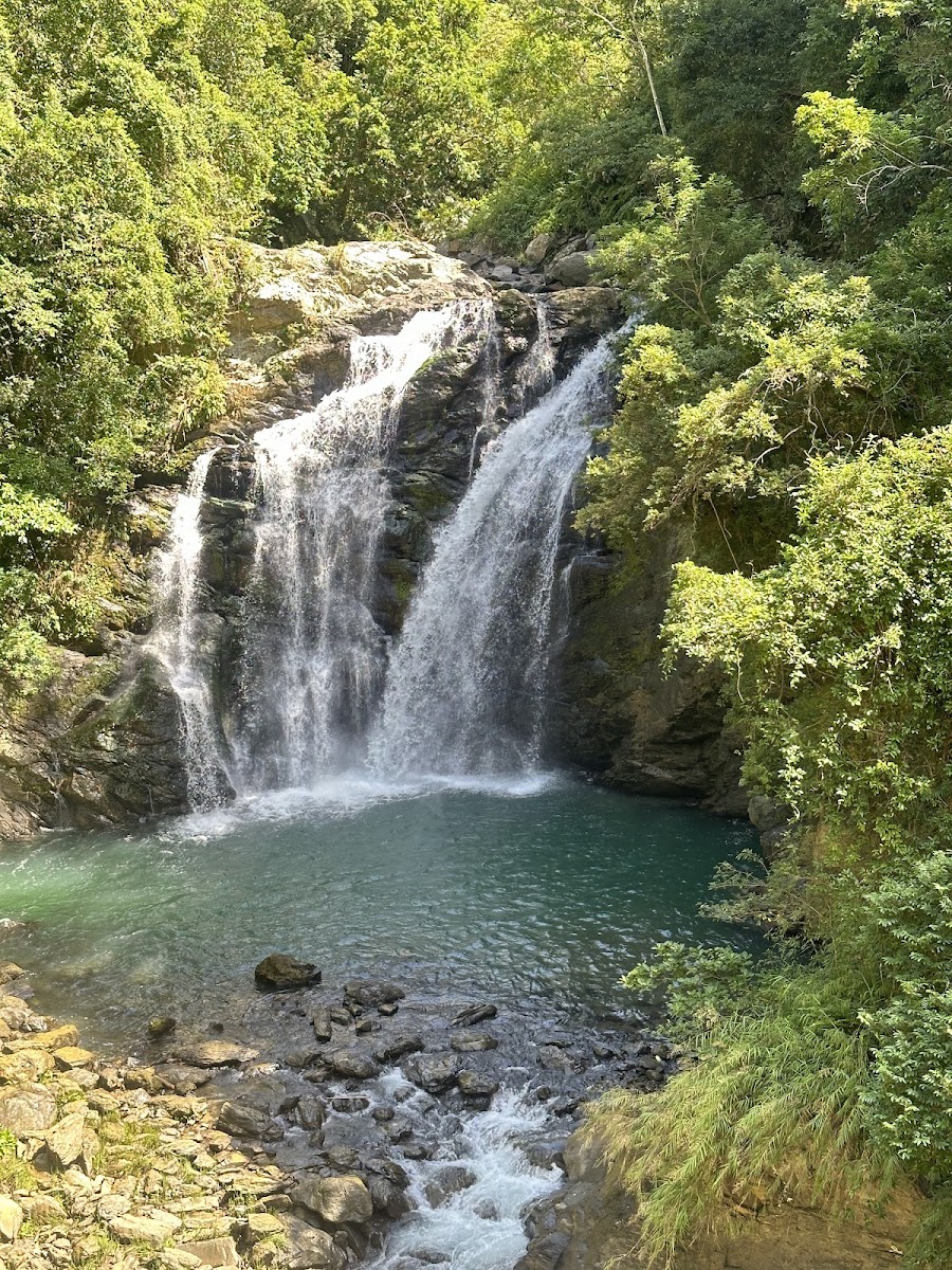 走進雙流國家森林遊樂區：瀑布步道、帽子山與慢旅生態觀察（2026）