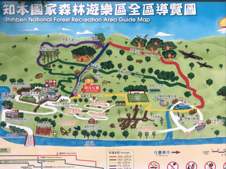 走進知本國家森林遊樂區：林間慢遊與溫泉放鬆的低海拔秘境（2026）