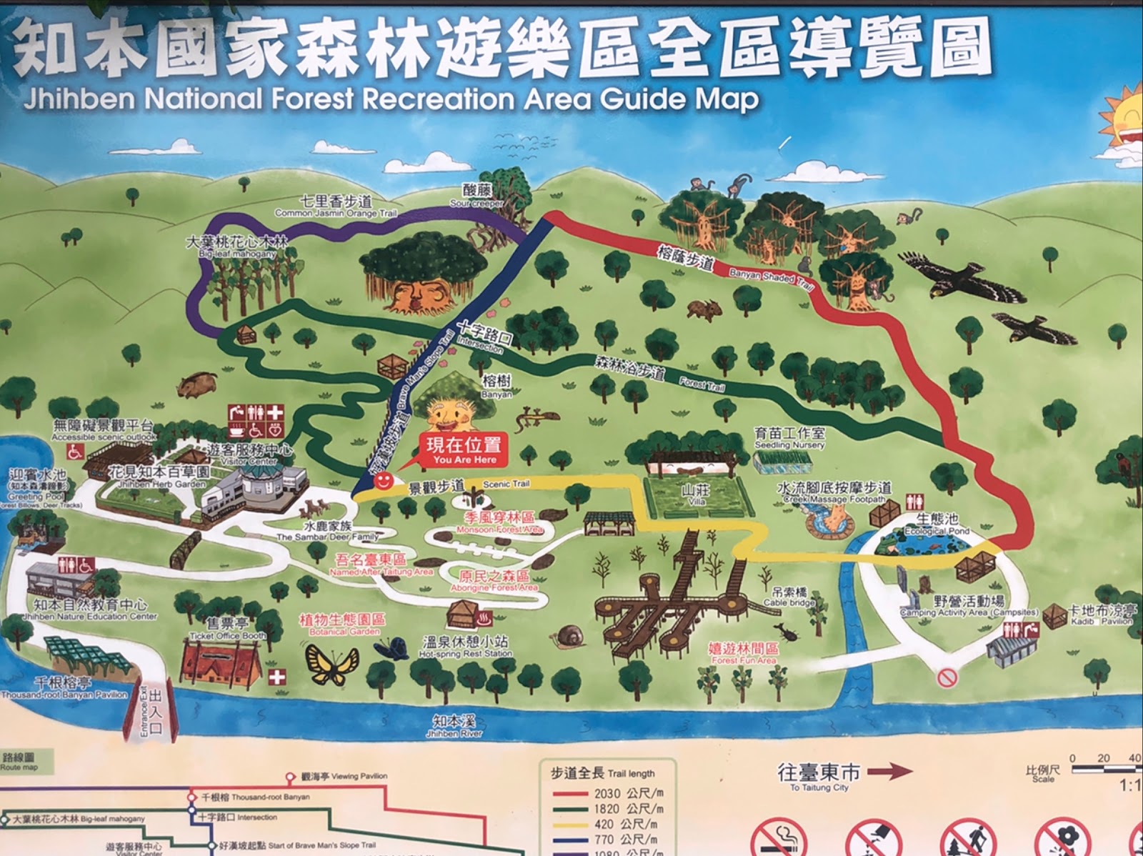 走進知本國家森林遊樂區：林間慢遊與溫泉放鬆的低海拔秘境（2026）