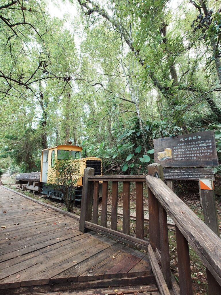 花蓮池南國家森林遊樂區｜慢步林間：親子生態教育與林業史的休憩場域