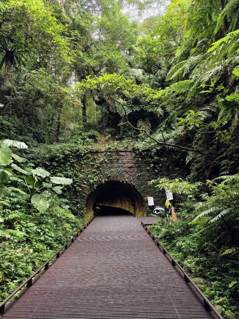 2026 三貂嶺生態友善隧道完全導覽：3.19公里鐵道秘境、鏡面倒影與蝙蝠保育