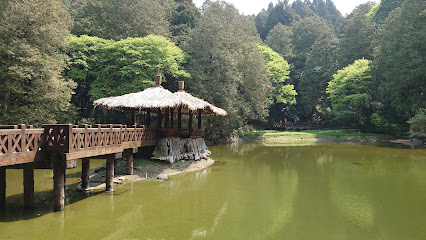 阿里山2026：日出、雲海與森林鐵道的永續旅程