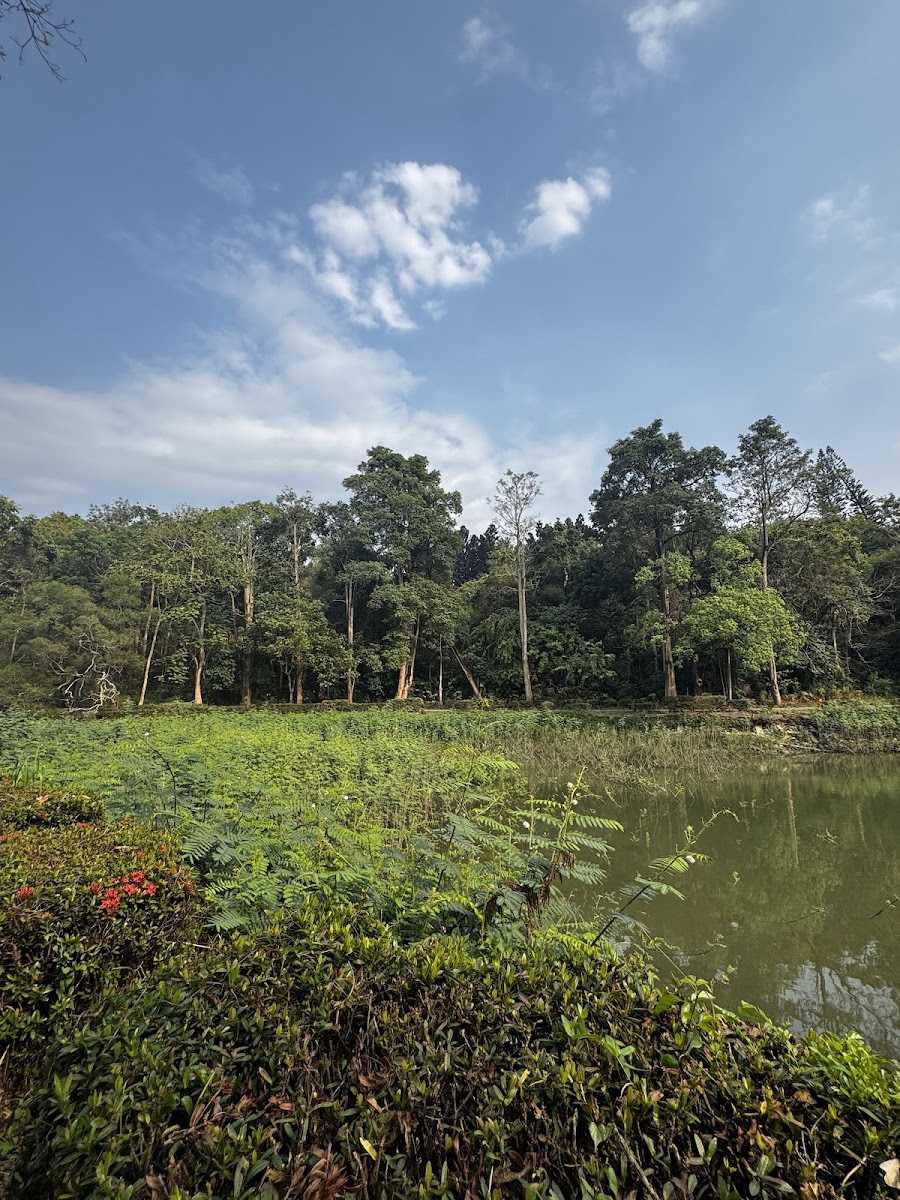 虎頭埤湖光慢旅：百年埤塘的生態與遊憩全覽（2026）