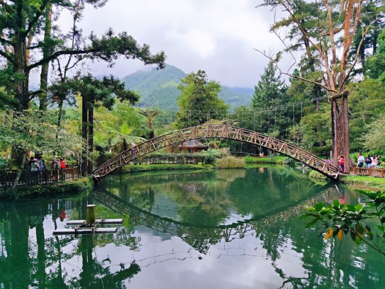 溪頭自然教育園區：在竹林與步道間的森林療癒與生態教育（2026）