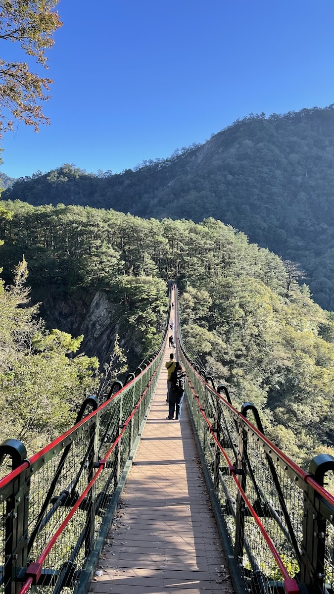 2026 奧萬大秋楓深度慢遊：賞紅葉、守護生態與實用攻略