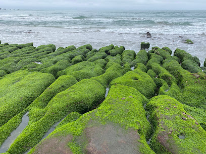 2026春季必訪｜老梅綠石槽：退潮賞綠海、親子與攝影攻略