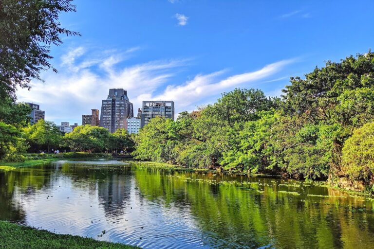 台北都市之肺再現生機 大安森林公園生態復育與綠意生活