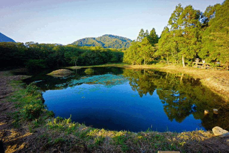 台北後花園的永恆魅力：探索陽明山國家公園的火山奇景、四季更迭與山林療癒