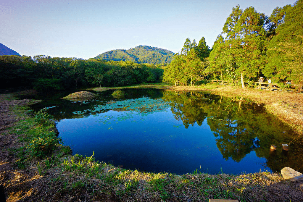 台北後花園的永恆魅力：探索陽明山國家公園的火山奇景、四季更迭與山林療癒