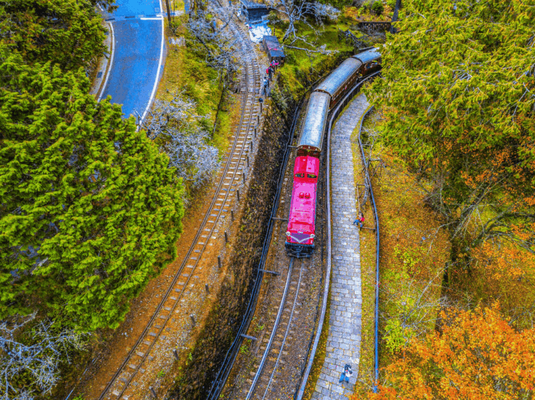 2026深度探索阿里山：自然奇景、森林鐵道與永續旅遊全攻略