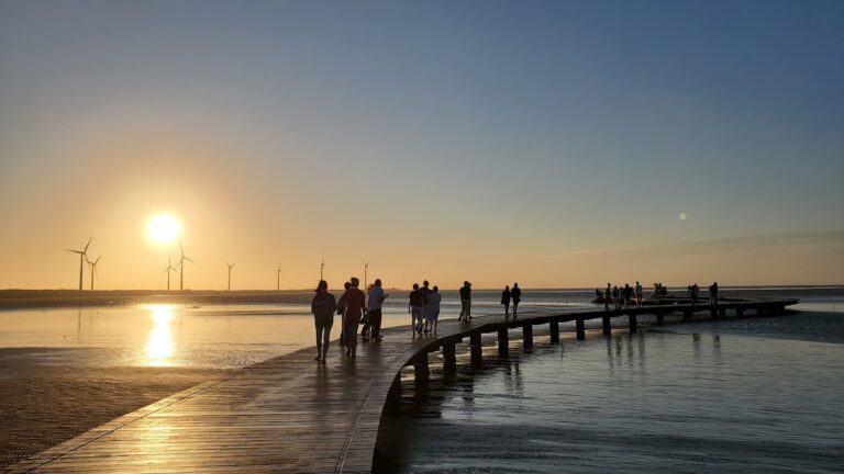 生態與光影交織的絕美詩篇!台中高美濕地:國際級生態瑰寶與夕陽勝地的永續之旅