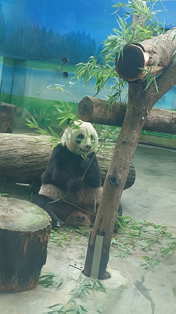 2026臺北市立動物園全攻略：熊貓萌樣、穿山甲保育、親子生態之旅一次掌握