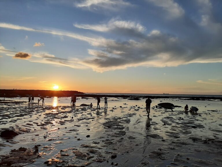 新北 北海岸｜新北北海岸一日遊懶人包：北海岸及觀音山必訪景點精選