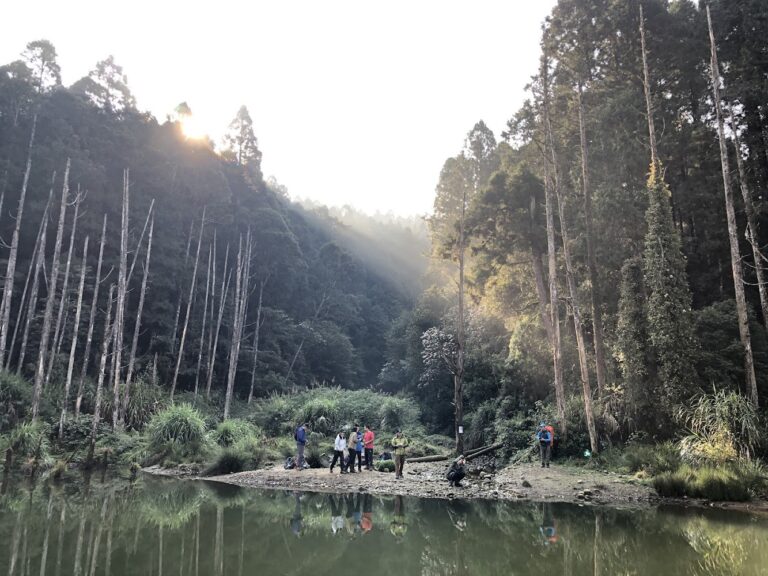 2026台灣五大感性秘境攻略：夢幻湖、桃源谷、雲山水、東眼山與老塘湖實地導覽