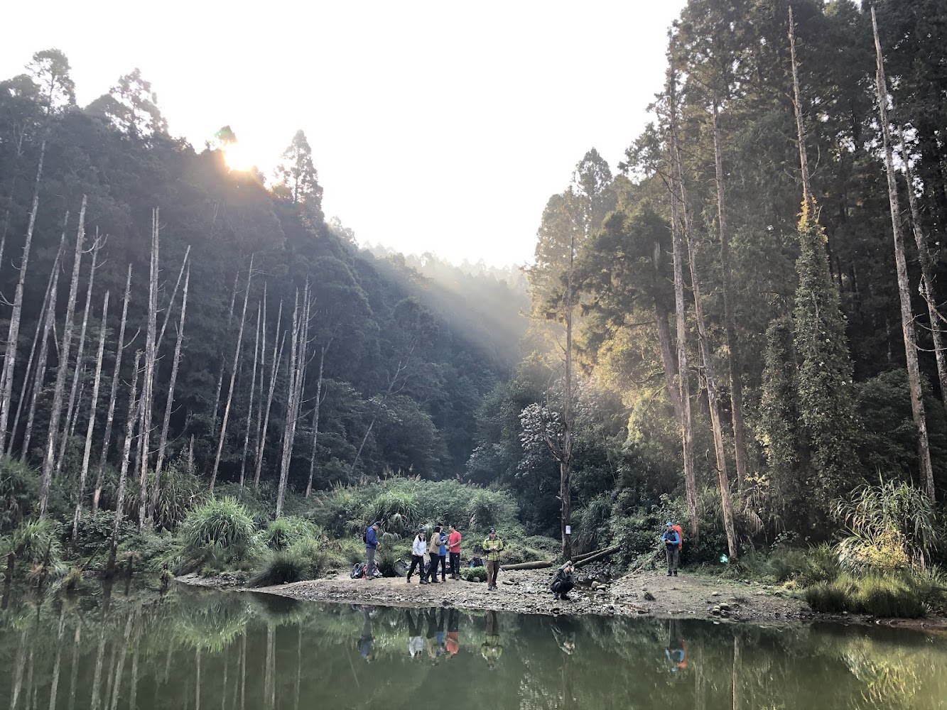 2026台灣五大感性秘境攻略：夢幻湖、桃源谷、雲山水、東眼山與老塘湖實地導覽