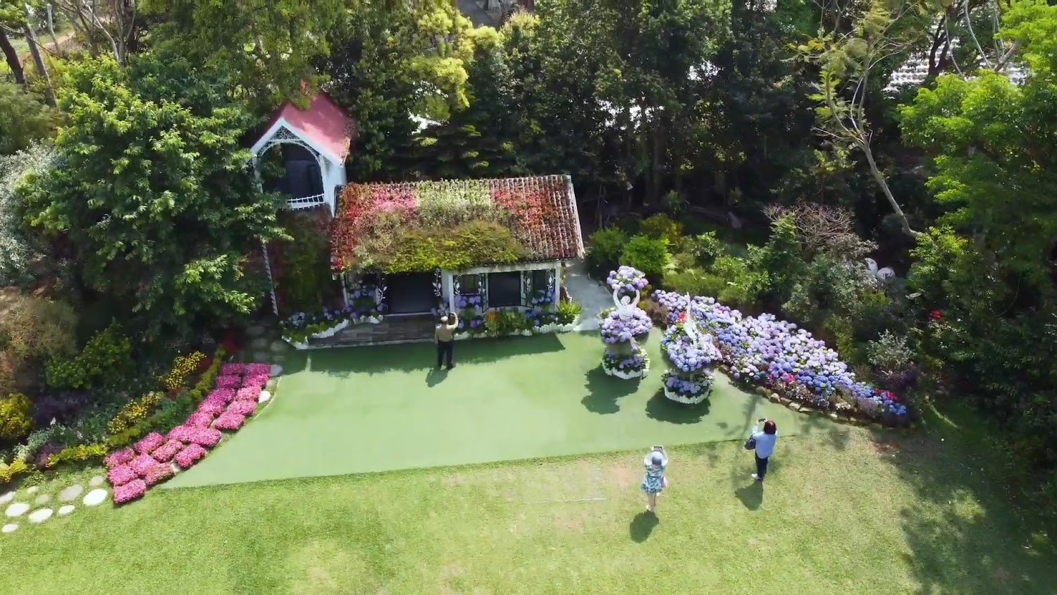 2026苗栗卓蘭花露農場一日遊攻略：繡球花季、親子DIY、香氛民宿與美食推薦