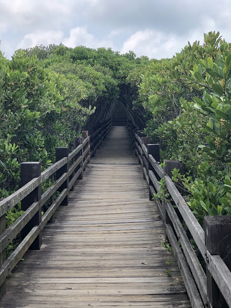 2026新竹山林步道導覽：從十八尖山到鳳崎落日、飛鳳山的路線、景觀與行前建議