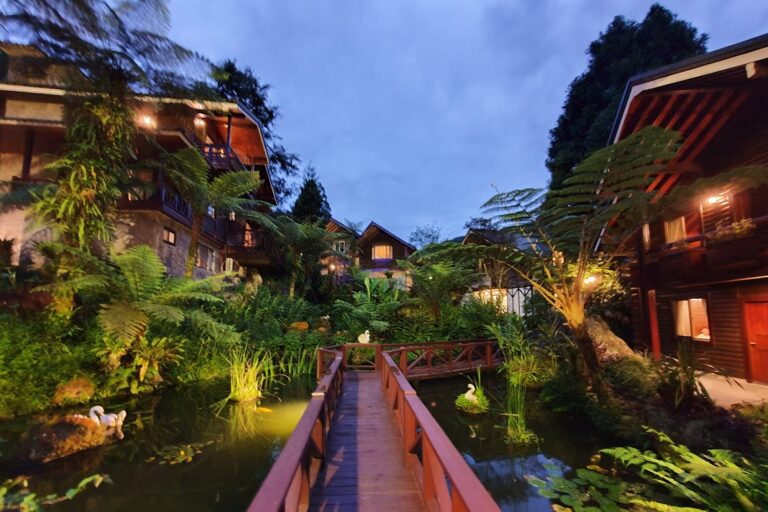 溪頭新明山木屋渡假村推一泊三食優惠 雙人2380元免費升等四人房 享受6000坪歐式森林秘境