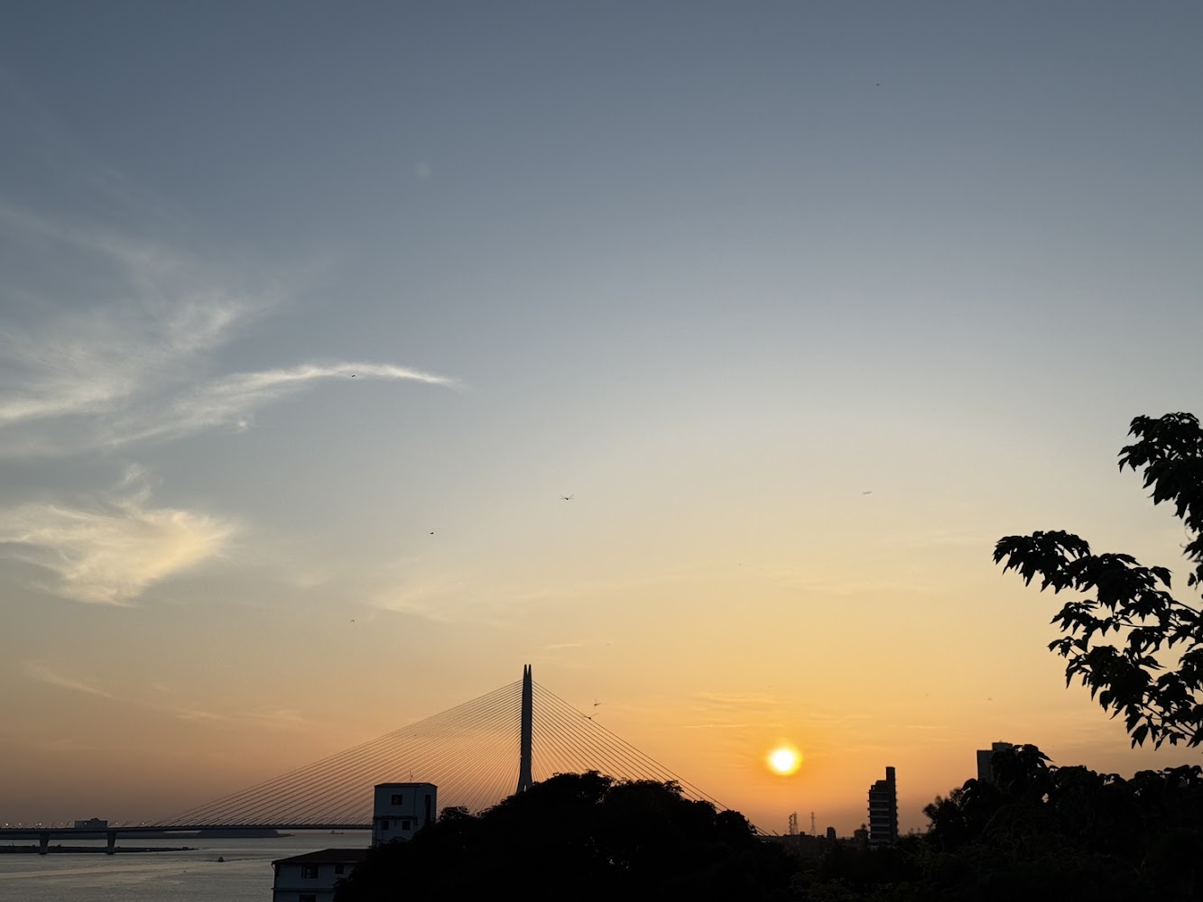 夕陽下的橋景與城市河景