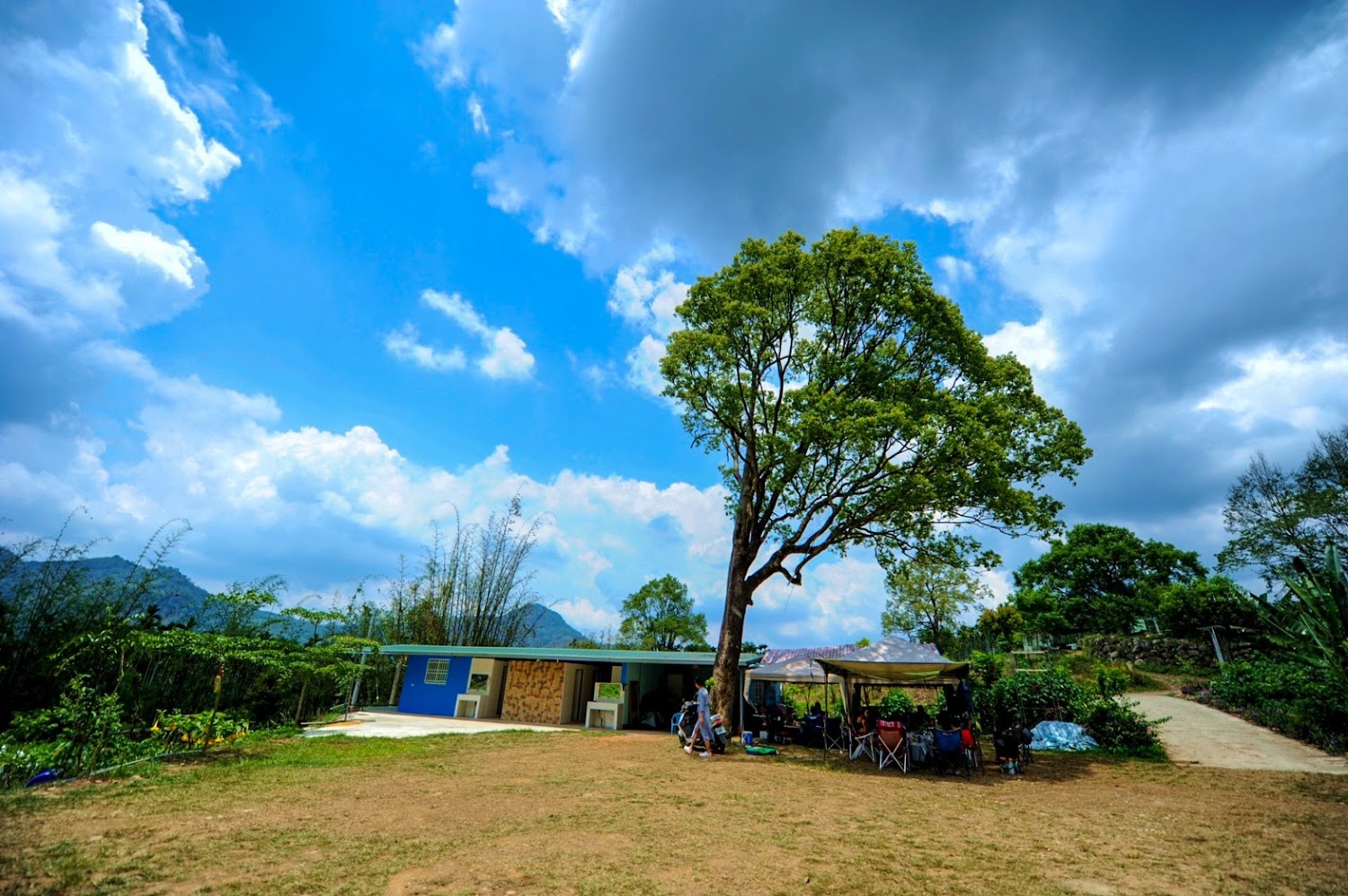 戶外草地大樹與帳篷的休閒園區景色