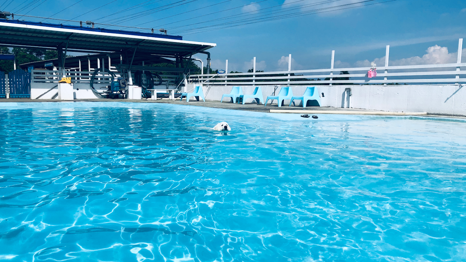 GoGo WaterWorld 園區景觀
