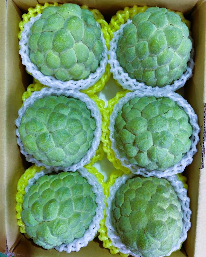 紙箱內整齊擺放包覆泡棉網的水果