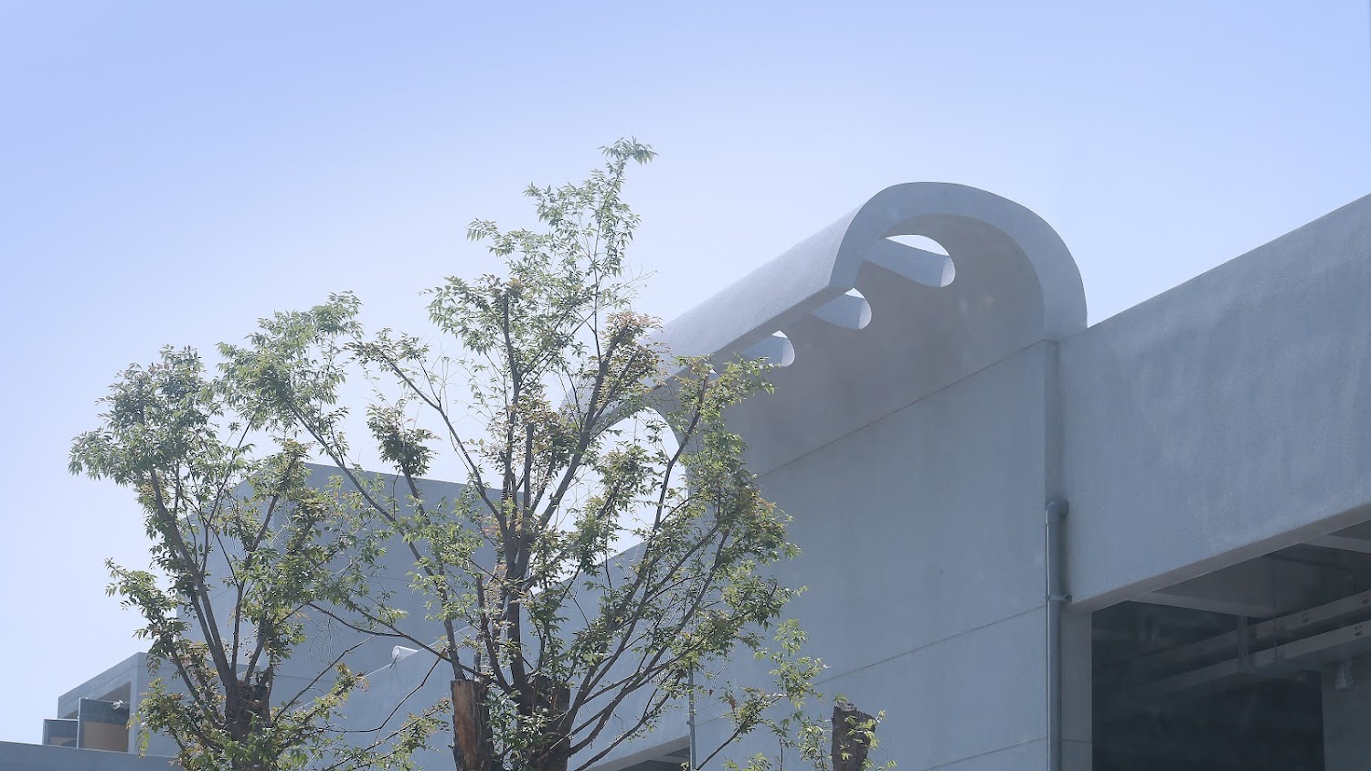 金馬賓館當代美術館外觀與大樹藍天