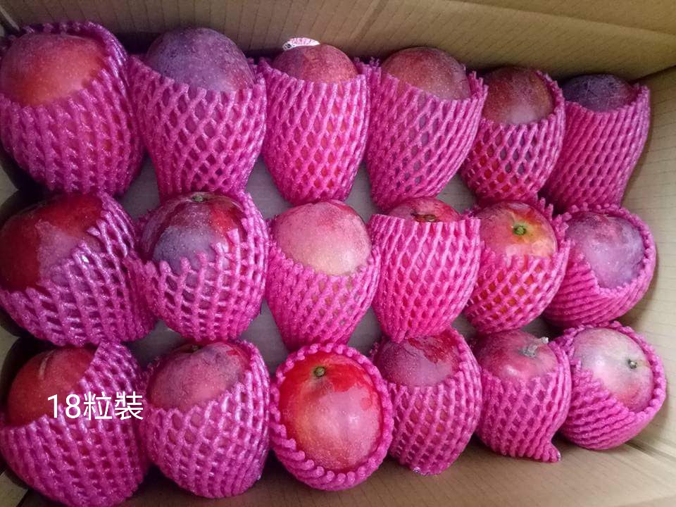 林家愛文芒果18粒裝